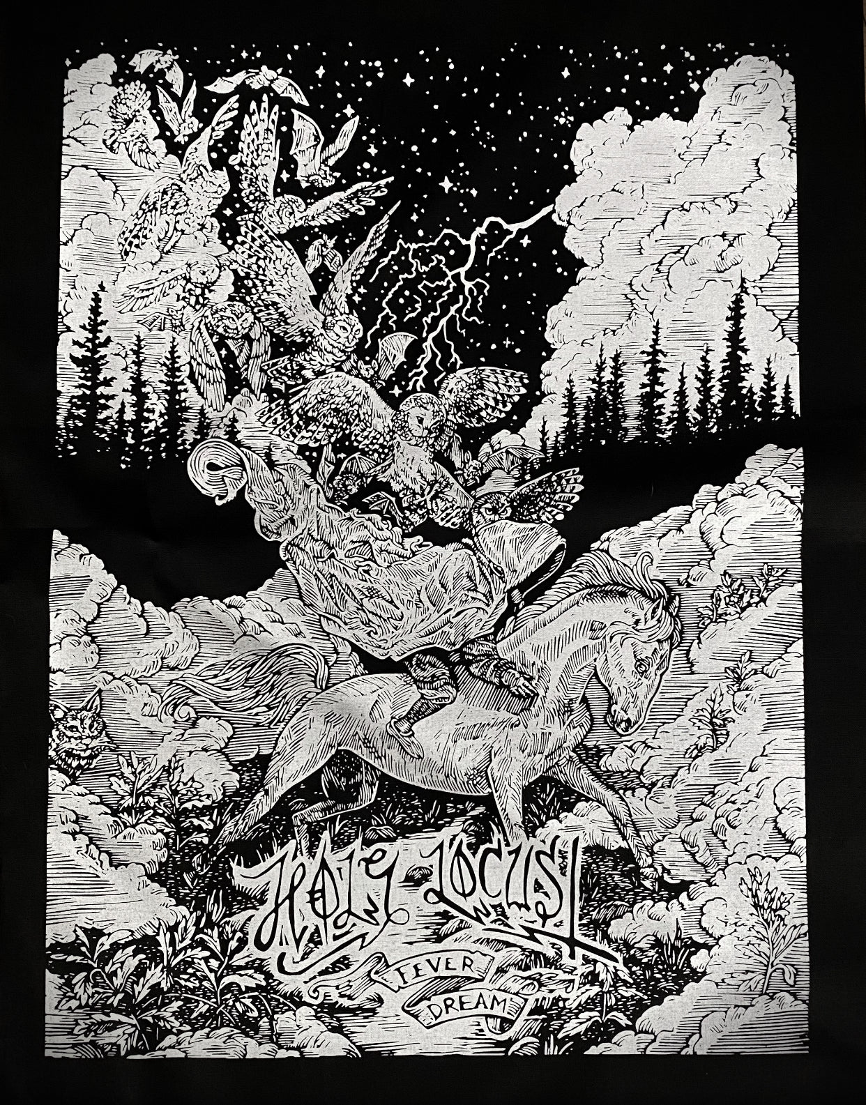 Holy Locust - Fever Dream - Back Patch - 10" x 14"